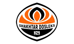 team logo