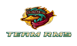 team logo