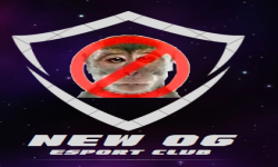 team logo