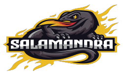 team logo