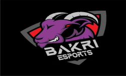 team logo