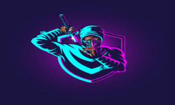 team logo