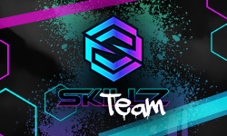 team logo