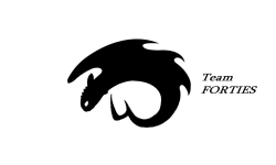 team logo