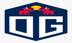 team logo