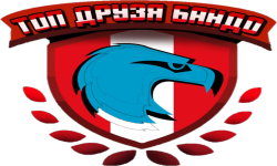 team logo