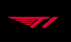team logo