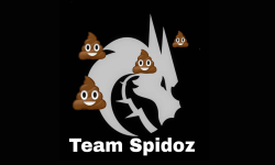 team logo