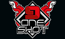 team logo