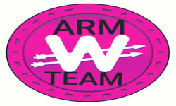 team logo