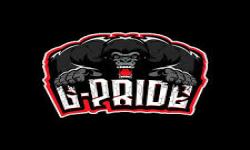 team logo