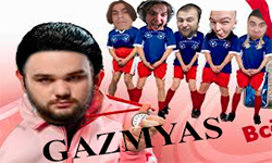 team logo