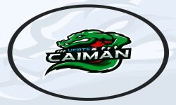 team logo