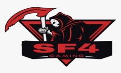 team logo