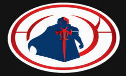 team logo