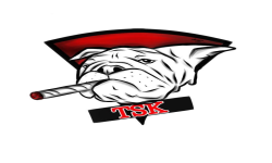 team logo