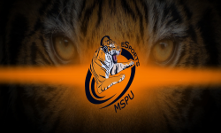 team logo