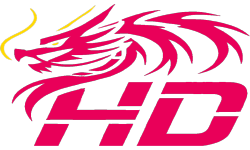 team logo