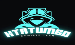 team logo