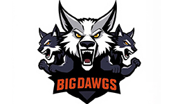 team logo