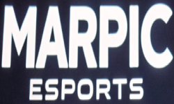 team logo