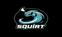 team logo