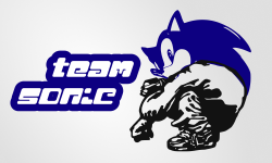 team logo