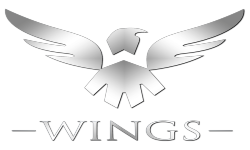 team logo
