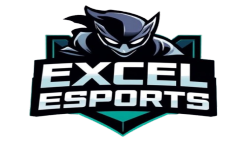 team logo