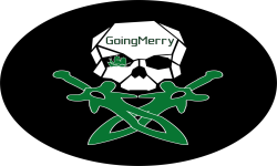 team logo