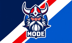 team logo