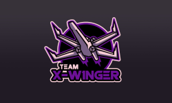 team logo