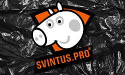 team logo