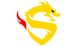team logo