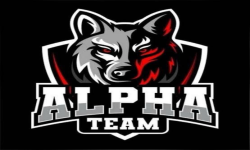 team logo