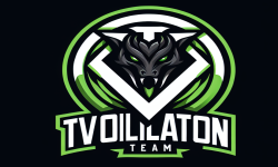 team logo