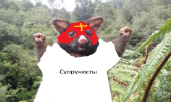 team logo