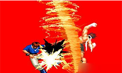 team logo