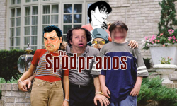 team logo