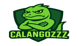 team logo